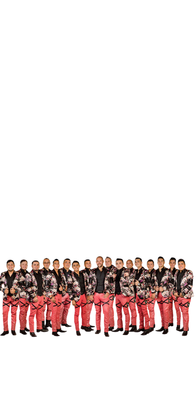 Banda Tierra Sagrada — artista feria