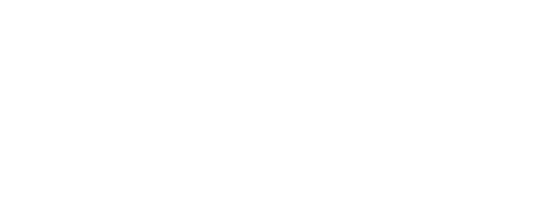 Feria Zongolica 2026