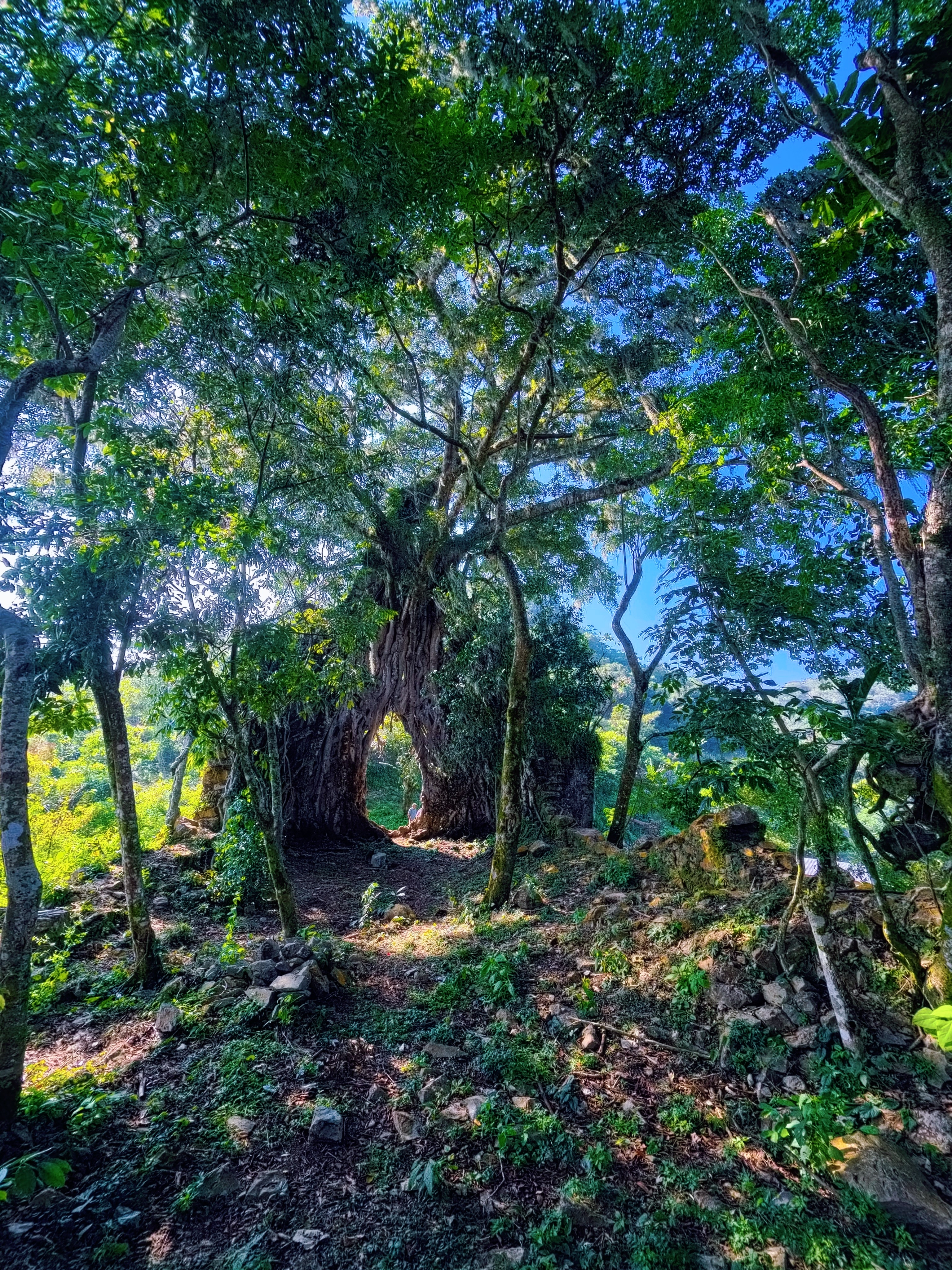 Exhacienda de los Gachupines