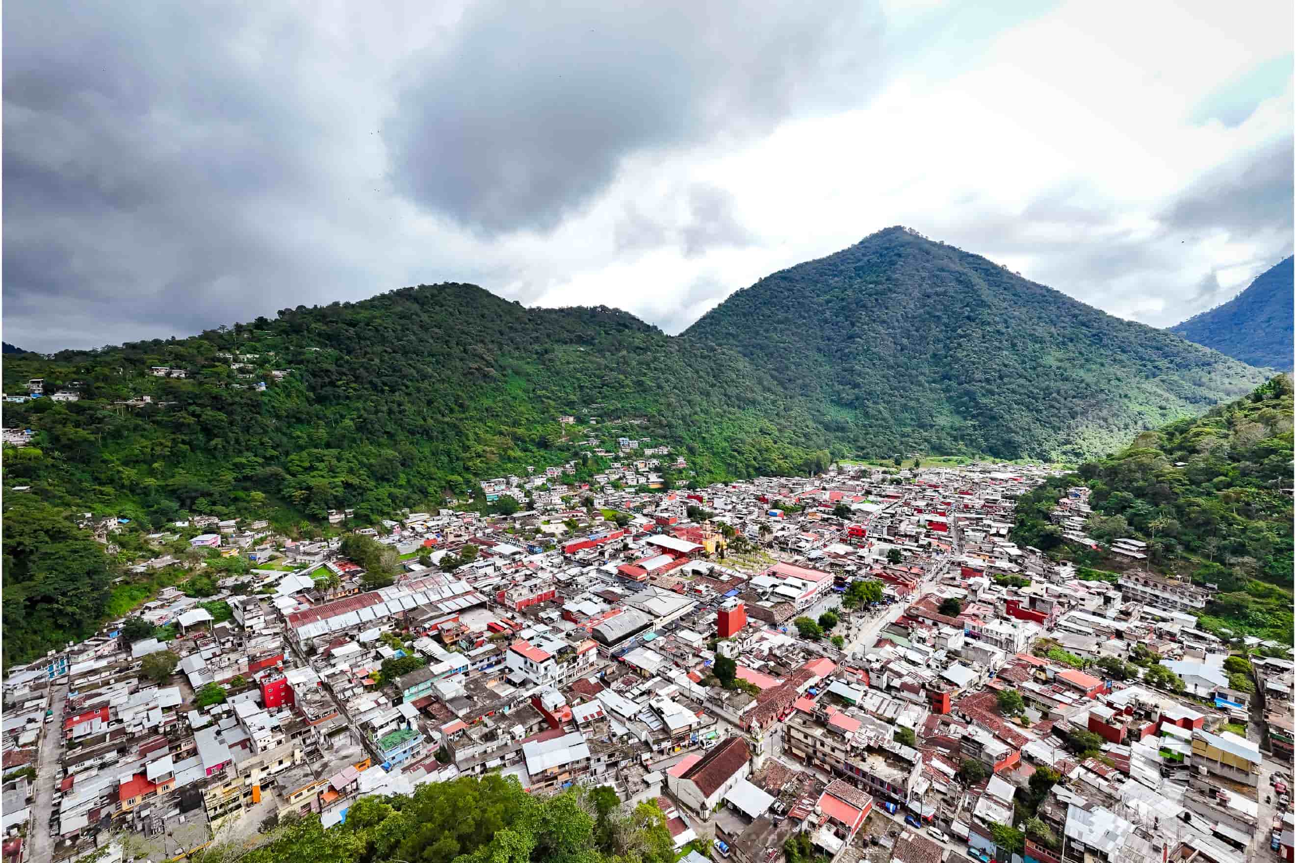 Xochitlallis 2026 — foto 1