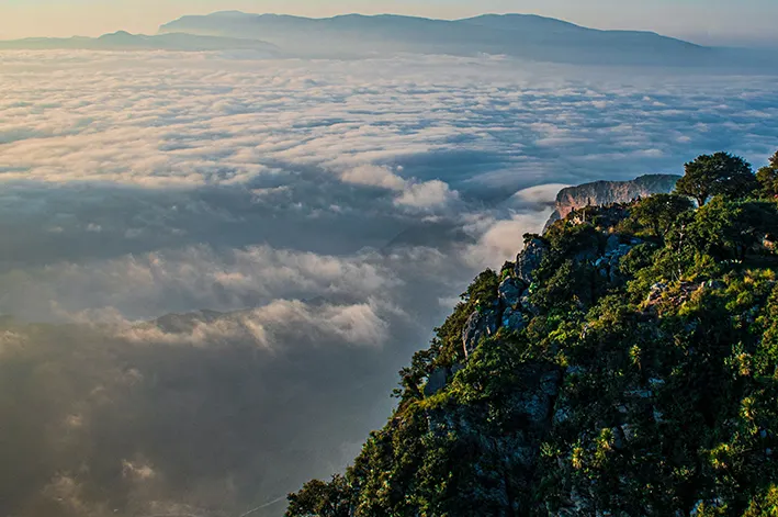 Xochitlallis 2026 — foto 10