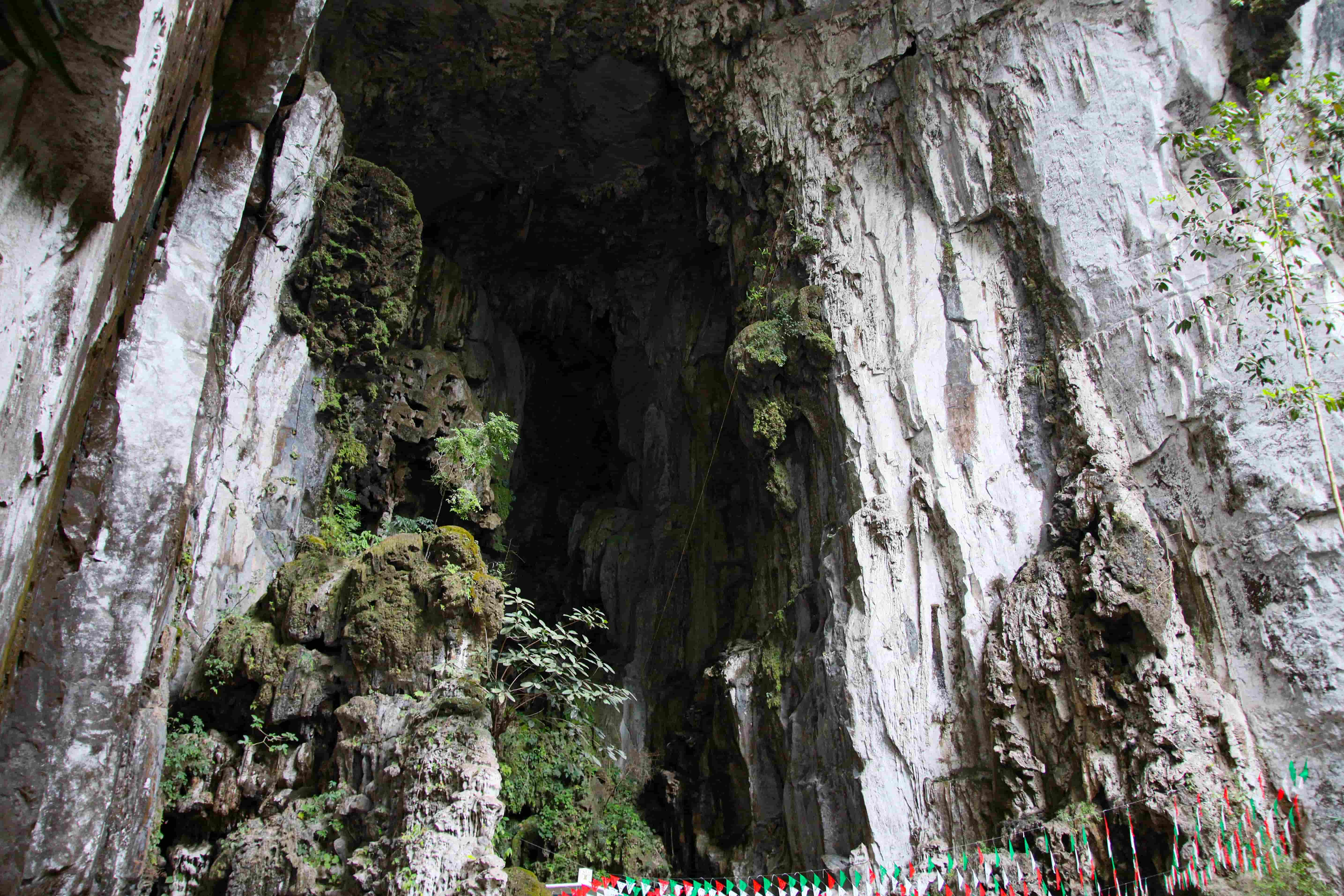 Xochitlallis 2026 — foto 5