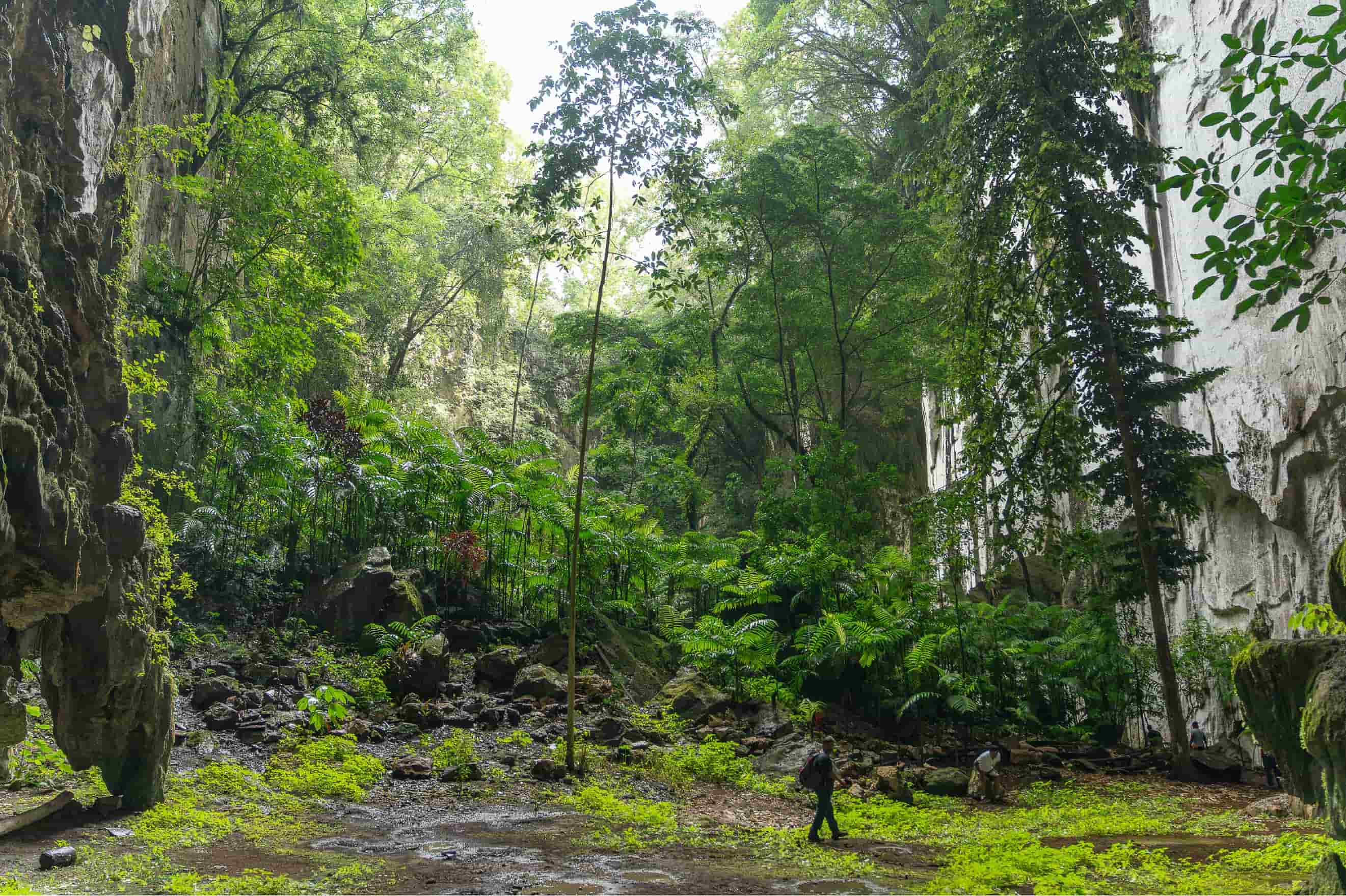 Xochitlallis 2026 — foto 7