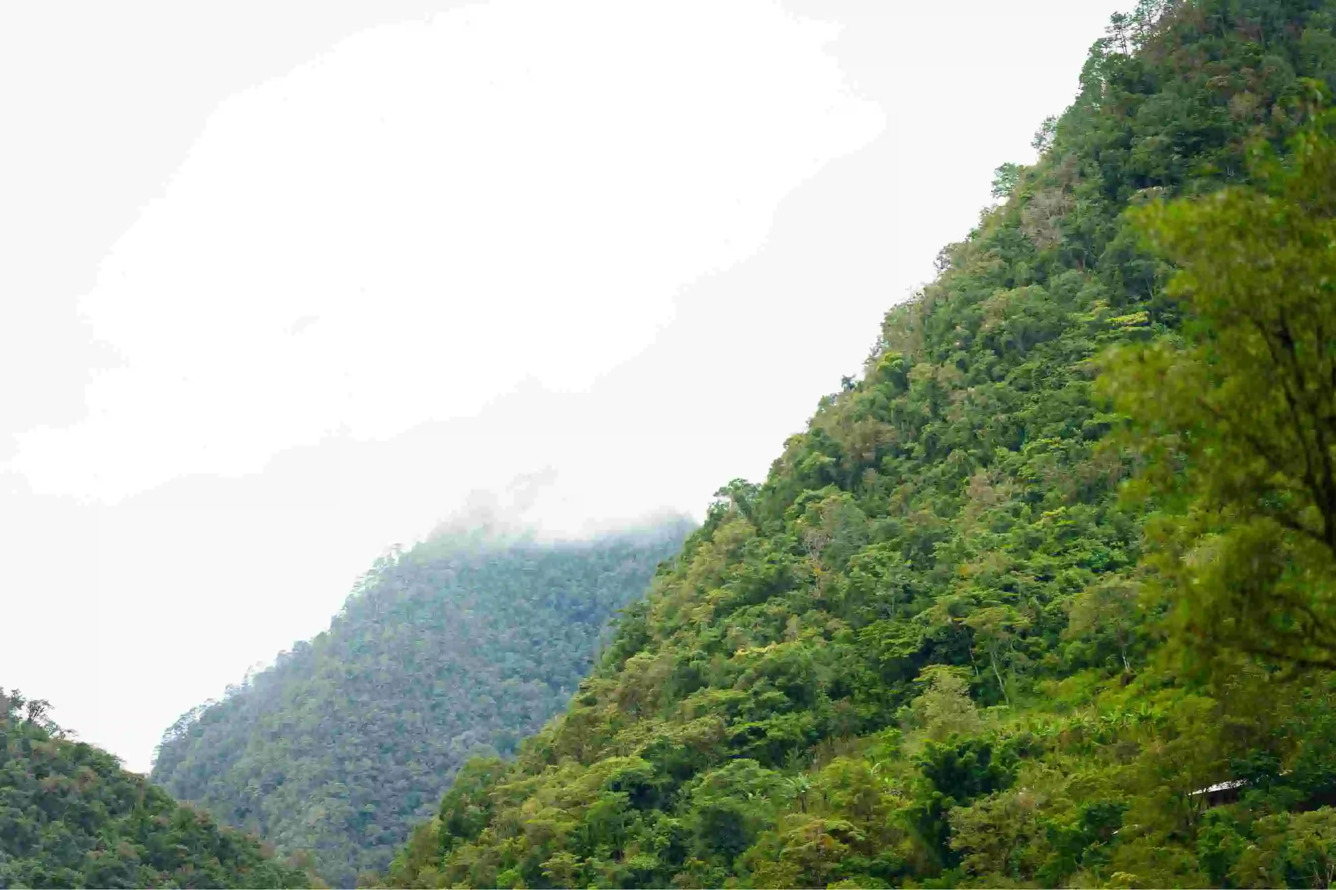 Arco Natural El Boquerón